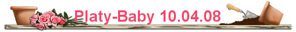 Platy-Baby 10.04.08